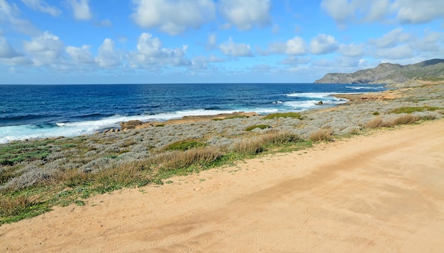 Struik en zand bij Argentiera kust Sardinië