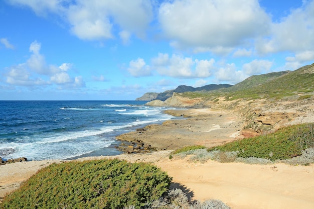 Struiken en zand bij Argentiera kust Sardinië