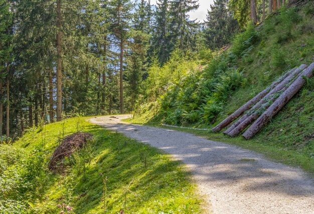 Stubaital in Tyrol