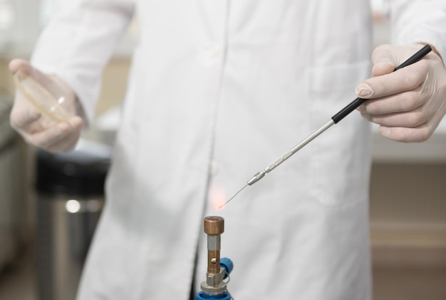 Student Conducting Research In A Laboratory