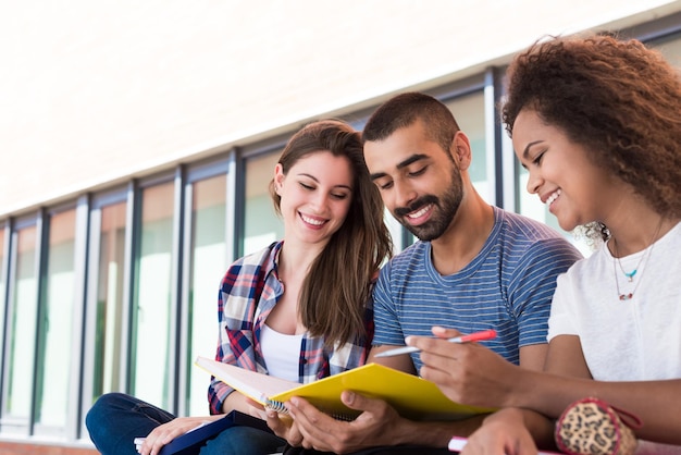 Studenten die notities delen op de universiteitscampus