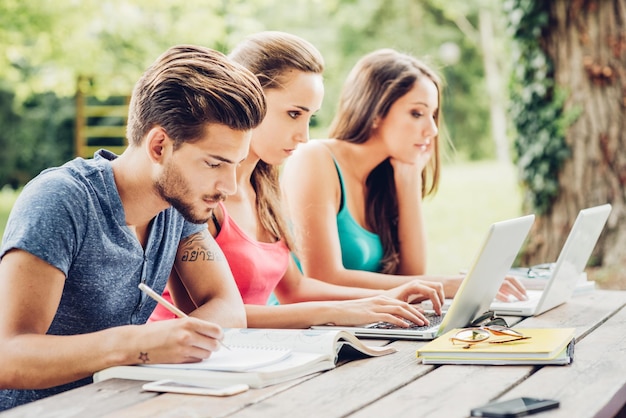 Students doing summer homework