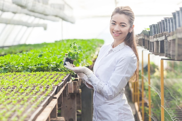 Studie van verschillende planten