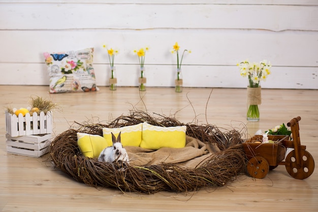 Studio Easter decorations. White fluffy Easter bunny sitting in a large nest against the background of a white wall.