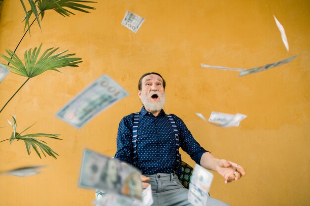 Dive Into Dollars Finance Fun