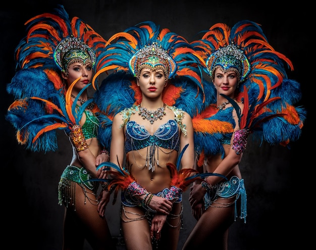 Studio portrait of a group professional dancers female in colorful sumptuous carnival feather suits. Isolated on a dark background.