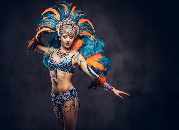 Studio portrait of a sexy female in a colorful sumptuous carnival feather suit, posing on a dark background.