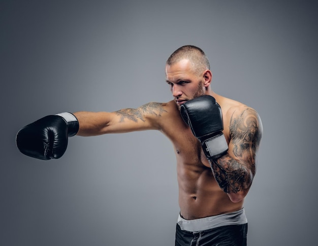 Studio portrait of the shirtless boxing fighter isolated on grey background.