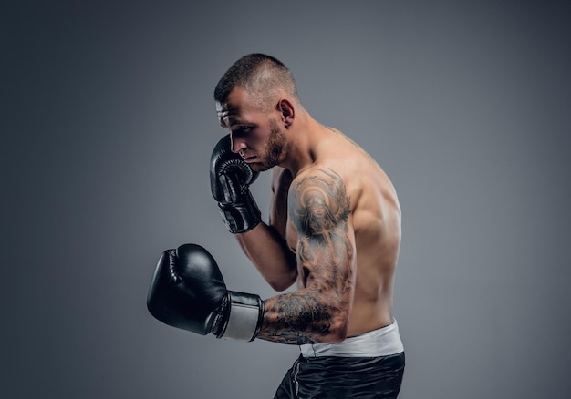 Studio portrait of the shirtless boxing fighter isolated on grey background.