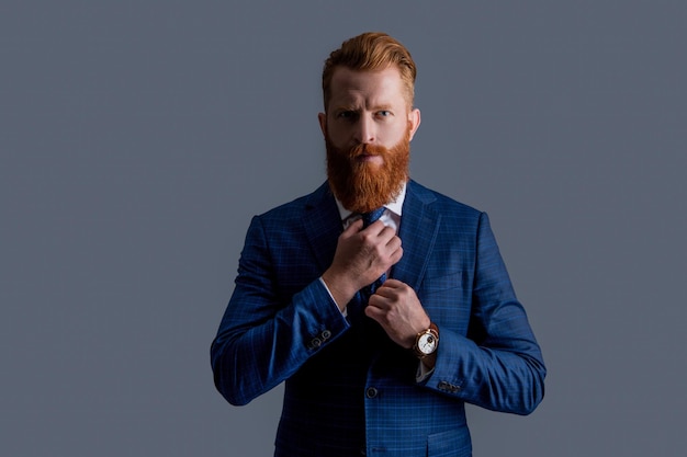 Studio shot of business boss suit and tie of business boss business boss in suit isolated on grey