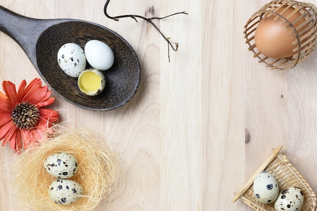 studio shot of eggs on a wooden background