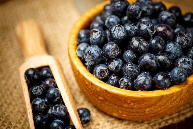 Studio shot of Fresh blueberries