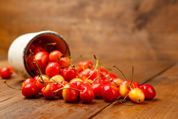 Studio shot of Fresh cherries