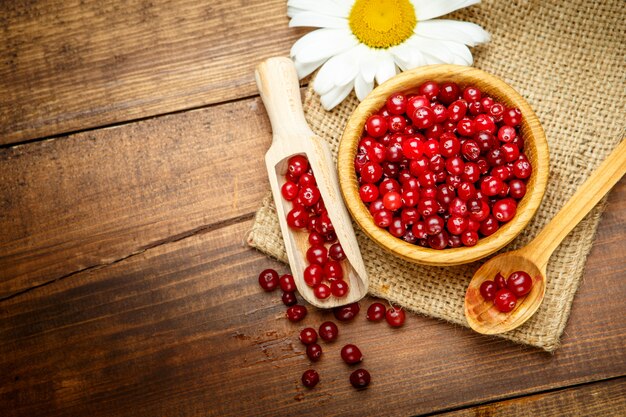 Studio shot of Fresh redcurrant