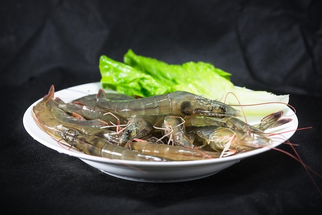 Studio shot of shrimp on black background