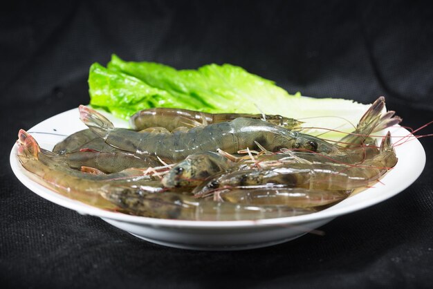 Studio shot of shrimp on black background