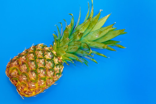 Studio shot van ananas op blauwe achtergrond. tropische vruchten zijn geïsoleerd