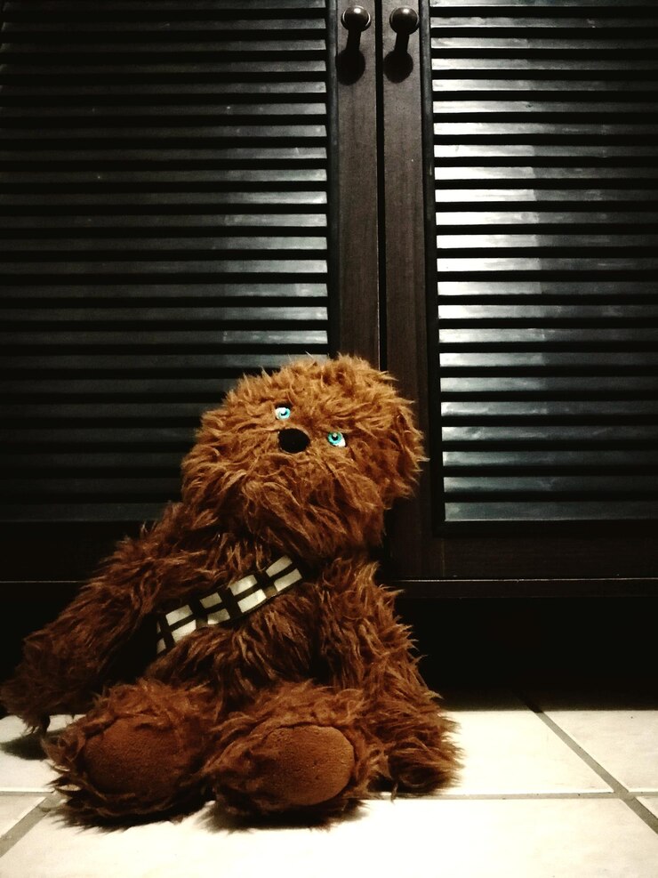 Photo stuffed toy by closed door at home