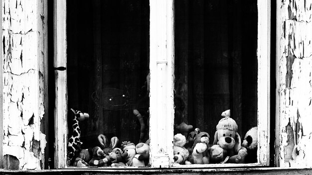 Photo stuffed toys seen through window