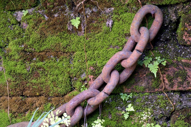 Stuk ijzeren ketting die aan de bemoste tuinmuur hangt