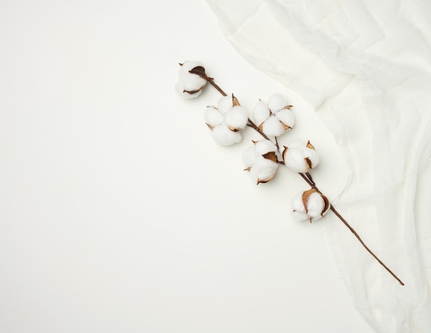 Foto stuk wit gaas en een takje met witte katoenen bloemen op tafel, bovenaanzicht, kopieer ruimte