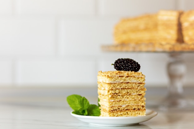 Stuk zelfgemaakte honingcake met verse bessen. Stuk zelfgemaakte honingcake versierd met verse moerbei. Ruimte kopiëren. witte achtergrond