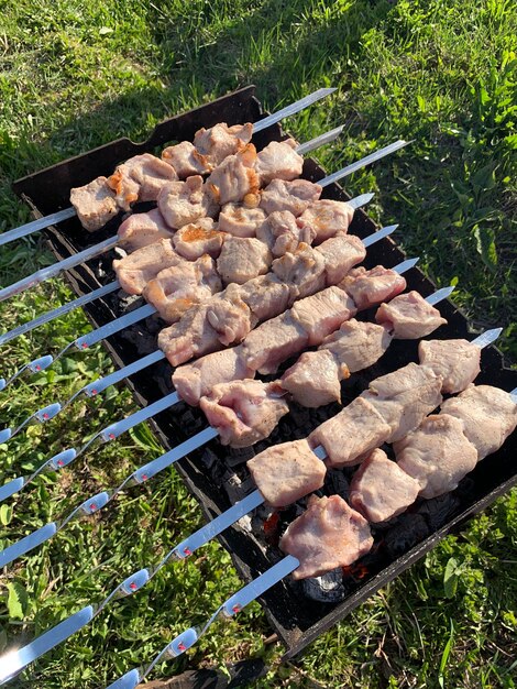 Stukjes vlees geregen aan metalen spiesen op de grill bij zonsondergang