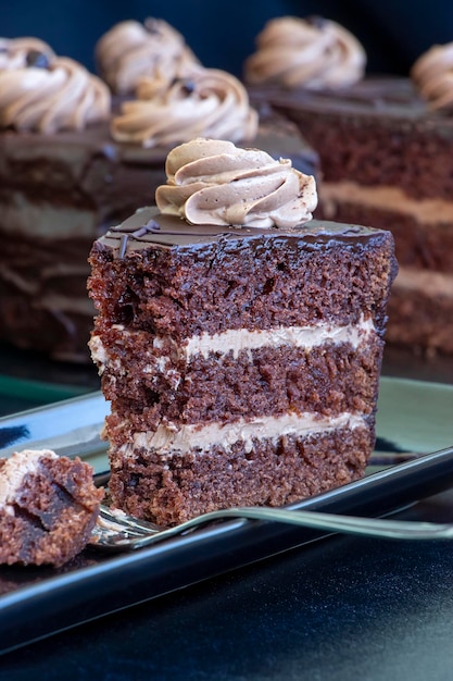 Foto stukken zelfgemaakte gelaagde chocoladetaart met slagroom witte plaat selectieve aandacht close-up