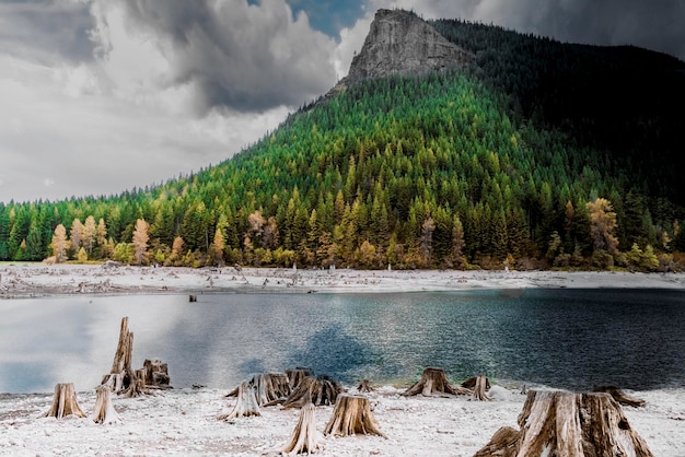 Foto i tronchi circondano un bellissimo lago con una cresta montuosa in autunno vicino a seattle