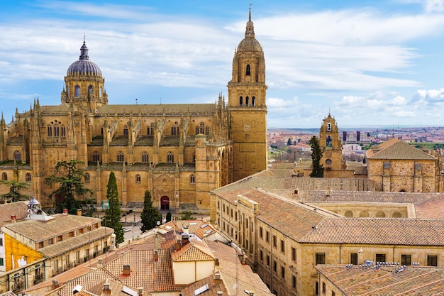 Stunning aerial view of the city of Salamanca with its cathedral emerging from the roofs of the houses