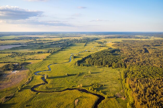 Foto splendida veduta aerea di un piccolo fiume e foresta nelle vicinanze