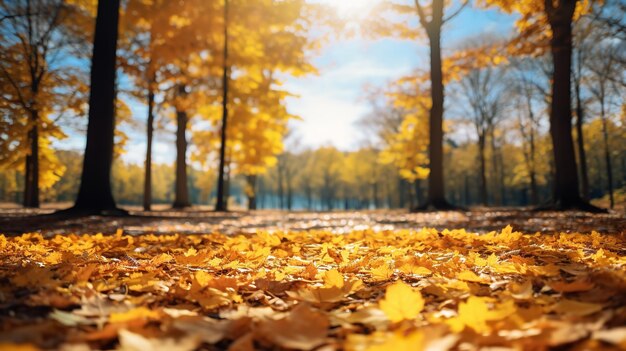 A stunning autumnal landscape in nature in autumn park an oak tree with yellow leaves generative ai