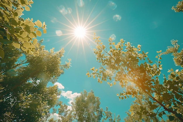 Photo stunning blue sky with sun lens flare clear sky sunny day sun shining