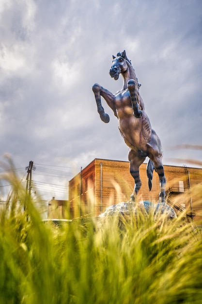 Foto una splendida scultura in bronzo di un cavallo mesteno di luis jimenez si trova in cima a un campo erboso ad abilene