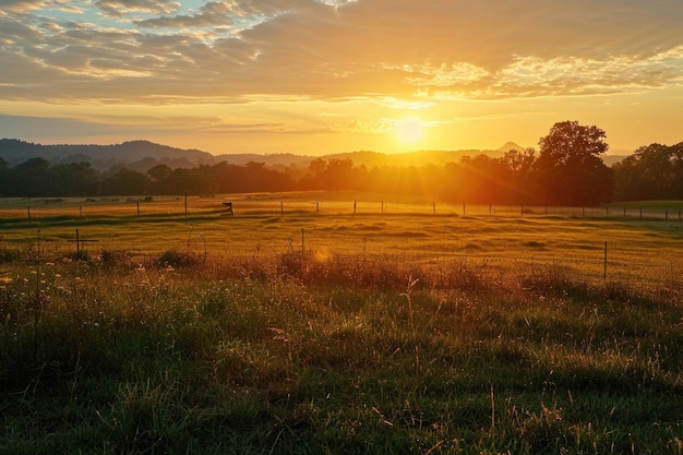 Stunning farm sunrise