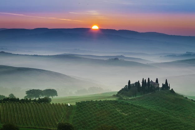 Stunning foggy green fields at sunset in Tuscany