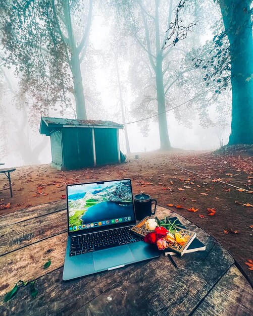 Foto immagine sbalorditiva viaggio estivo settembre bellezza autunno albero foresta panorama