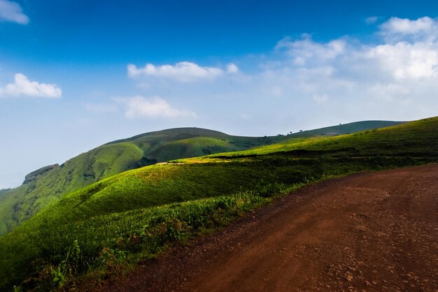 Stunning landscape view of green grass rolling hills with forest road and fluffy clouds at chikmagalurkarnataka