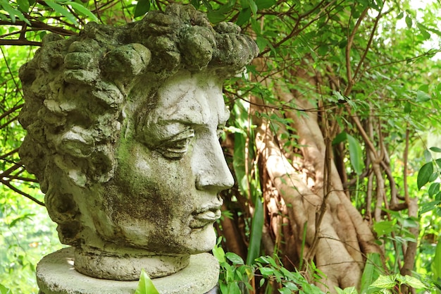 Splendida figura in pietra antica di una testa di uomo greco in un giardino