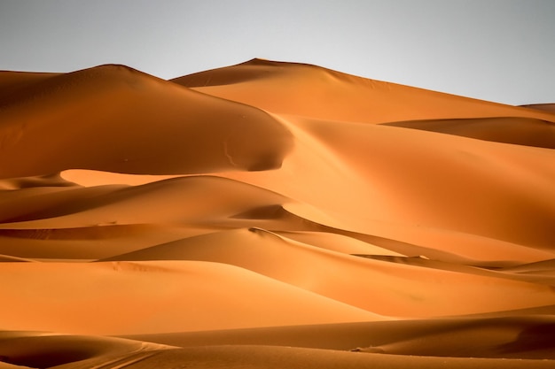 Stunning sand dunes of Merzouga