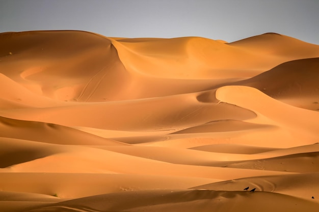 Stunning sand dunes of Merzouga