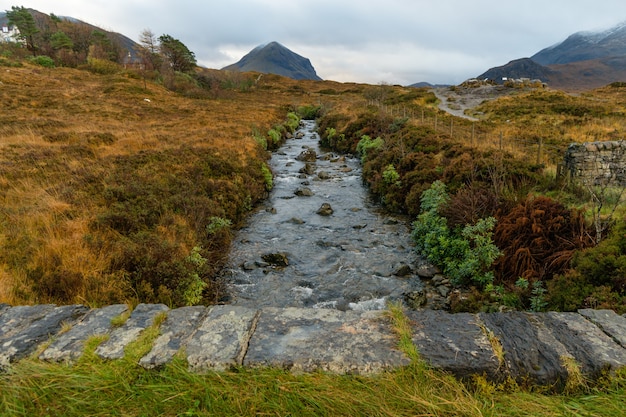 Stunning shot of a river creek water with a rocky bottom flowing on mountains