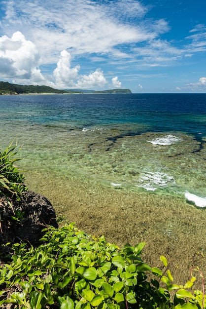 Stunning top view of a coral reef platform with shallow emerald green sea. Coastal vegetation on cliff.