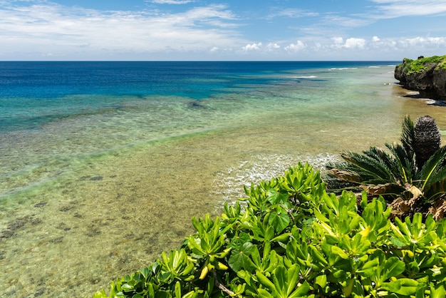 Stunning top view of a turquoise sea rising with small waves passing over the coral platform, coastal vegetation.