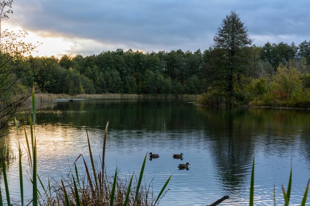 Stunning view of famous blue lake with sunrise and orange sky under dense clouds. Kazan, Russia. Ducks are swimming in the morning. Autumn landscape.