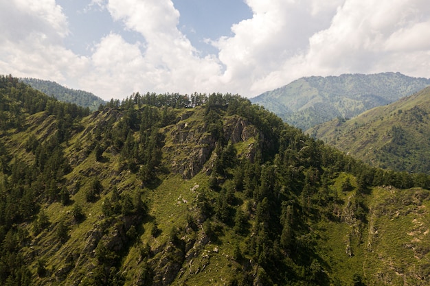 Splendida vista sulle alte montagne con foresta