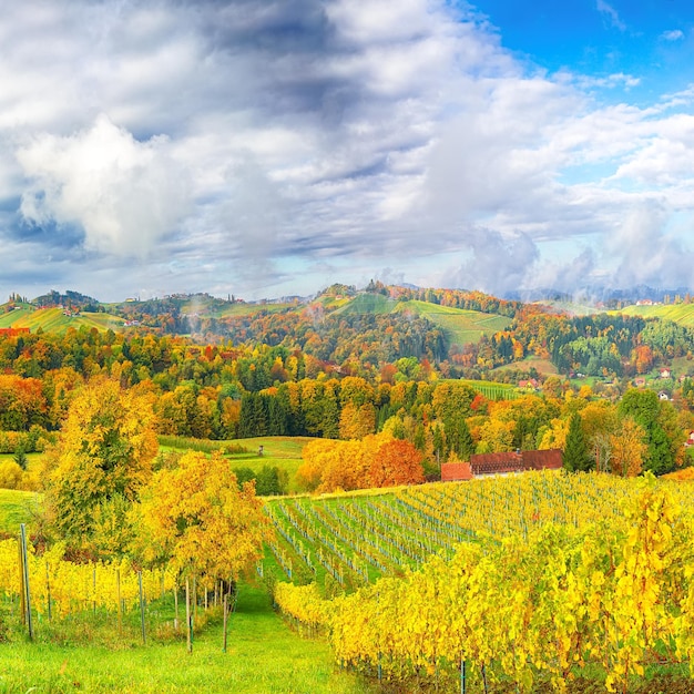 Stunning vineyards landscape in South Styria near Gamlitz