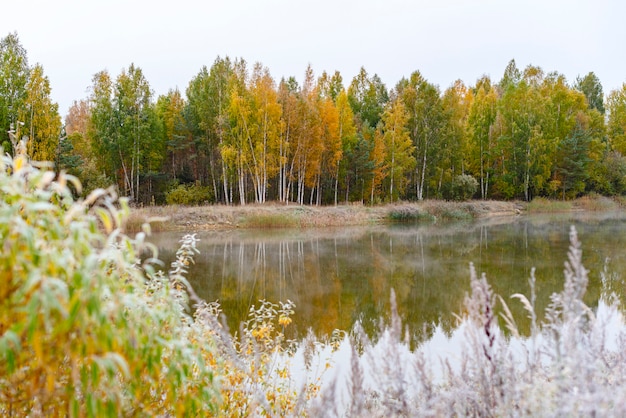 Foresta di autunno incredibilmente bella e riflesso nel fiume. concetto di autunno foglie gialle e cielo blu brillante.