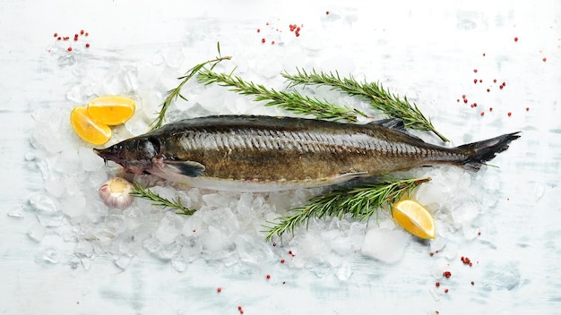 Sturgeon fish with lemon rosemary and spices on ice Top view Flat lay