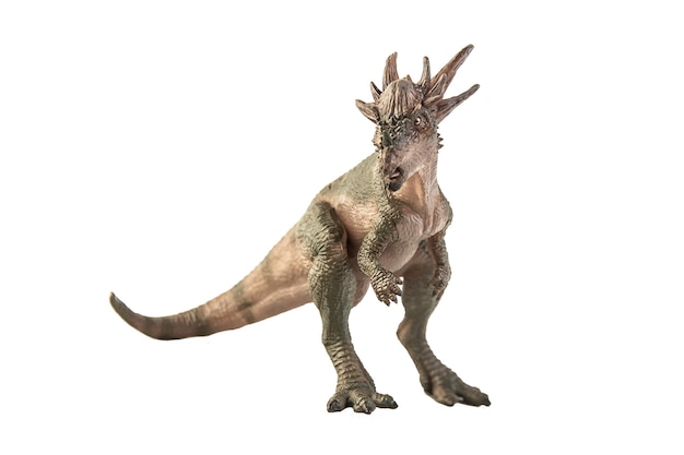 Stygimoloch Dinosaur on white background .